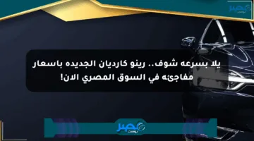 يلا بسرعة شوف.. رينو كارديان الجديدة بأسعار مفاجئة في السوق المصري الآن!